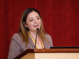 Educating teachers to use AI without harming the planet 