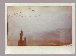 “Make this look like film” – I tried VSCO’s new AI prompt photo editing. It’s not perfect, but it did generate retro looks