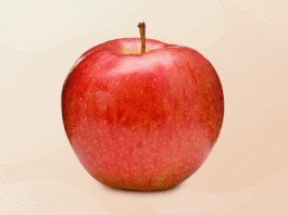 A red apple with a stem, centered on a professional flat design background with soft patterns and gradients.