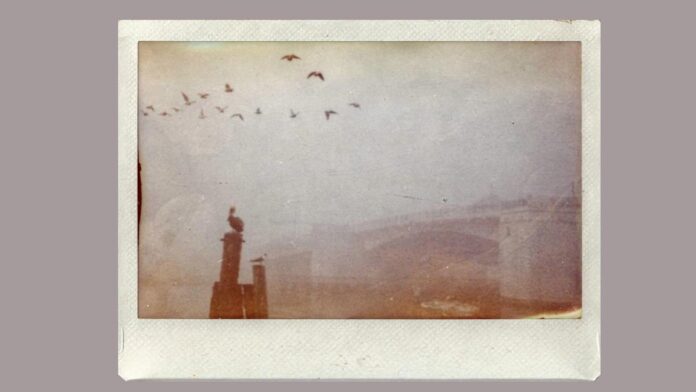 “Make this look like film.” I tried VSCO’s new AI prompt photo editing. This is what happened