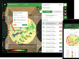 Tanzanian AI app helping farmers spot crop diseases early