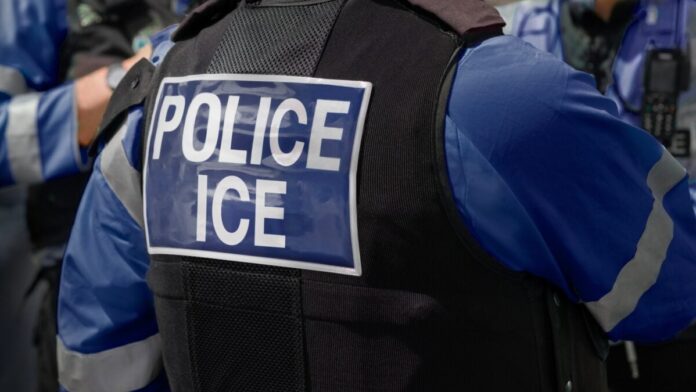 AI Tool Reportedly Sent ICE Recruits Into the Field Without Proper Training