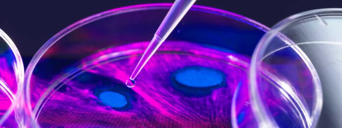 Opportunities in AI | White & Case LLP