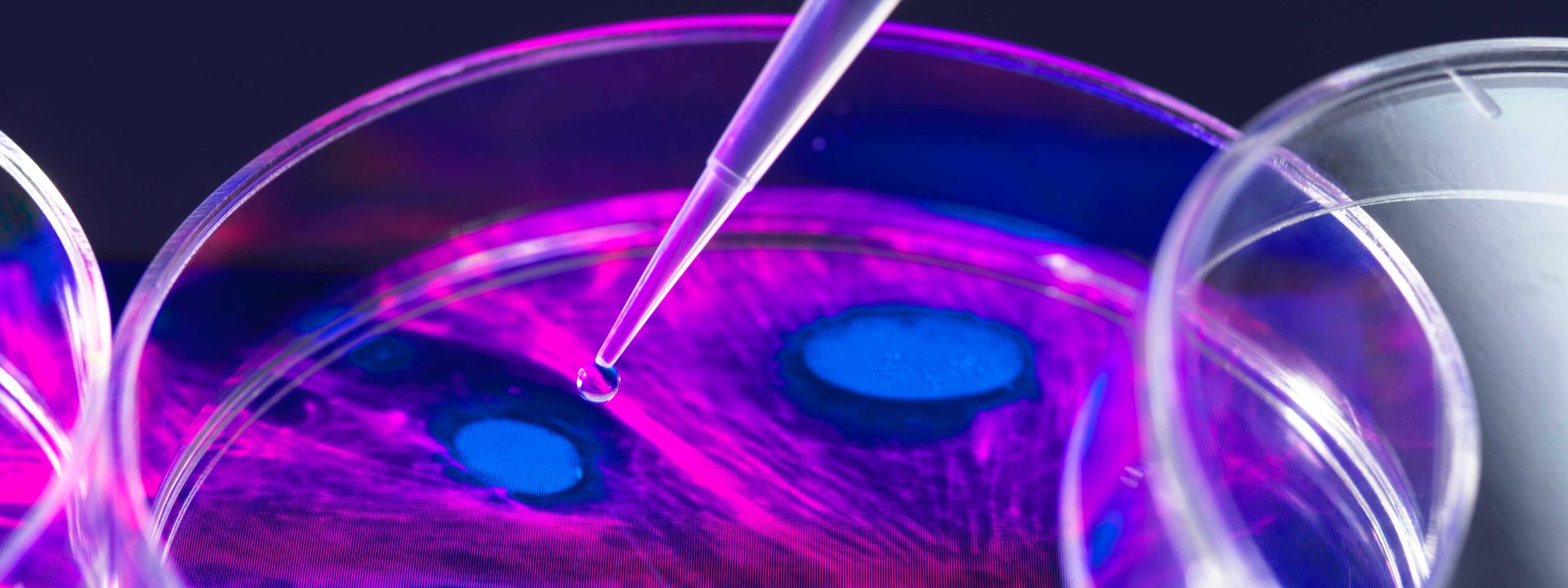 Opportunities in AI | White & Case LLP