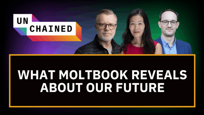 When AI Agents Take Over, What Does a Post-Human Economy Look Like?