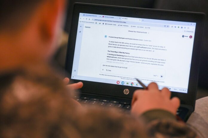 NEPA schools navigate the age of AI