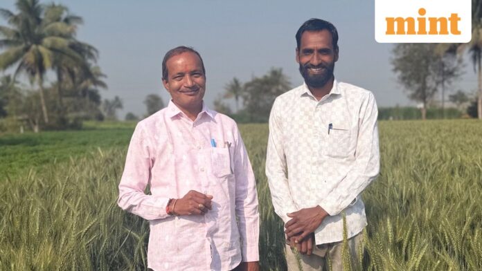 How MahaVISTAAR in Nashik and Amul’s Sarlaben bot are bootstrapping farm incomes