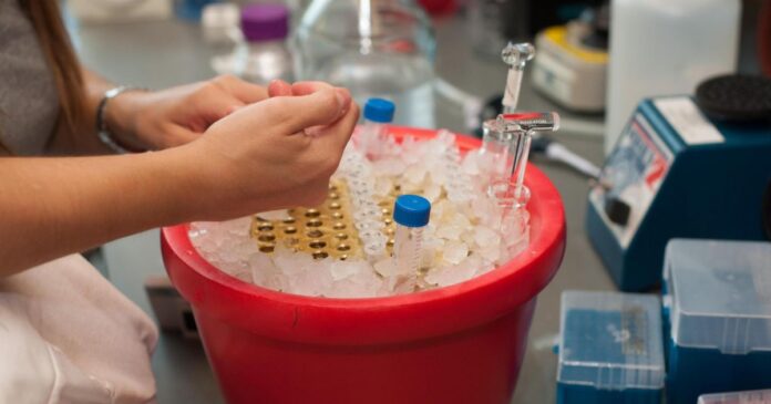 Encouraging People to Try New AI Tools — While Still Protecting Sensitive Data