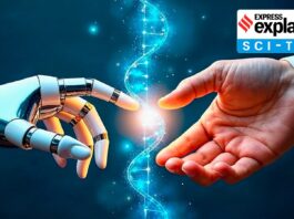 India AI applications stack - What the country can bring to the table