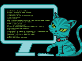 EFF’s Policy on LLM-Assisted Contributions to Our Open-Source Projects