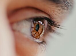 AI-powered Screening Tool To Boost Glaucoma care: The Lancet - Health and Me