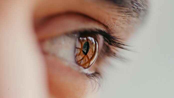 AI-powered Screening Tool To Boost Glaucoma care: The Lancet - Health and Me