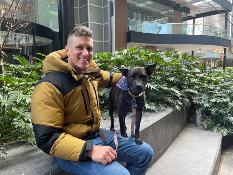 17735883841331899681.jpg Study shock: Ultra-processed foods may trigger anxiety and aggression in kids