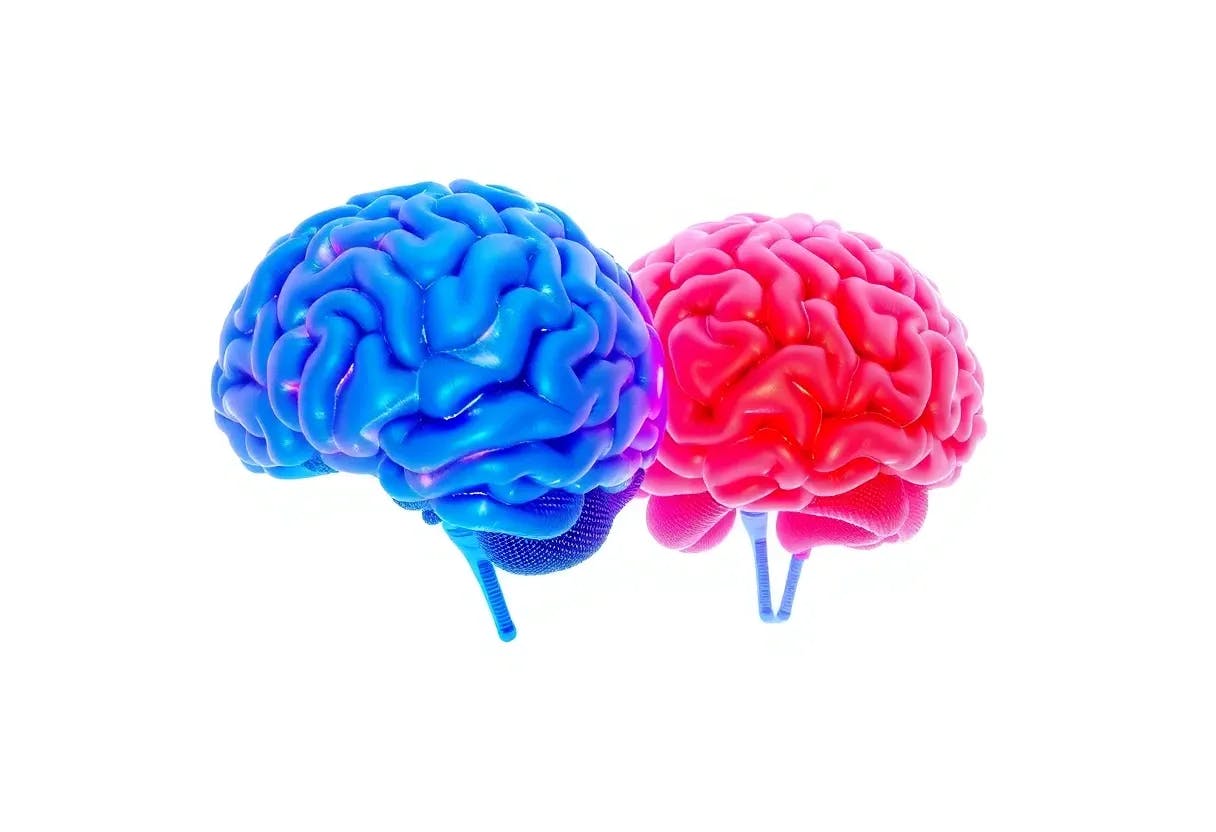 2-ai-brains-one-blue-and-one-red-abstract-ebg93ckejs0i12l7bil5ak2e.png avatar