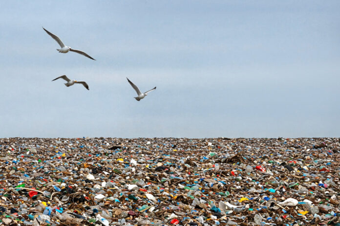 Introducing Westa: AI App to Identify Waste Types and Sources by UGM Lecturer - Universitas Gadjah Mada