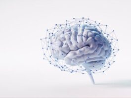 AI Exposes Where Learning Was Thin to Begin With (opinion)