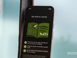 Google Pixel 10 Pro XL pixel journal