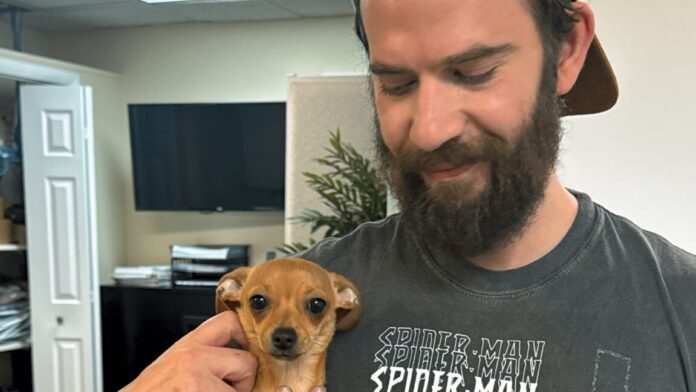 A bearded man wearing a Spider-man t-shirt and a backwards baseball cap holds a small dog with his right arm.