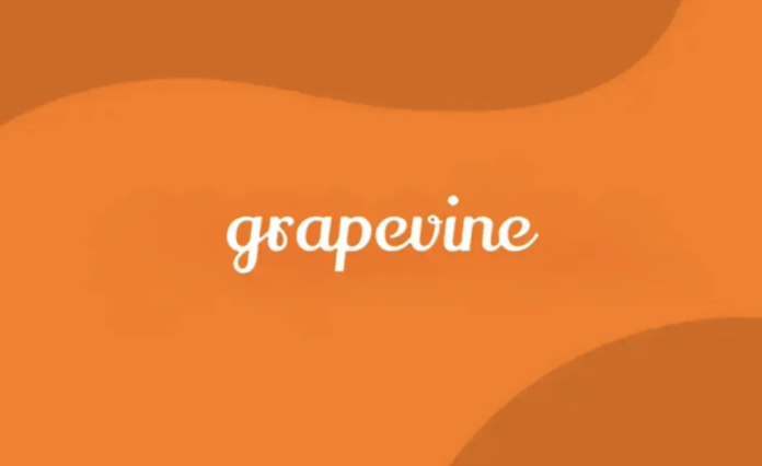 Grapevine Secures $4.1M to Scale AI-Driven Job Discovery and Interview Tools