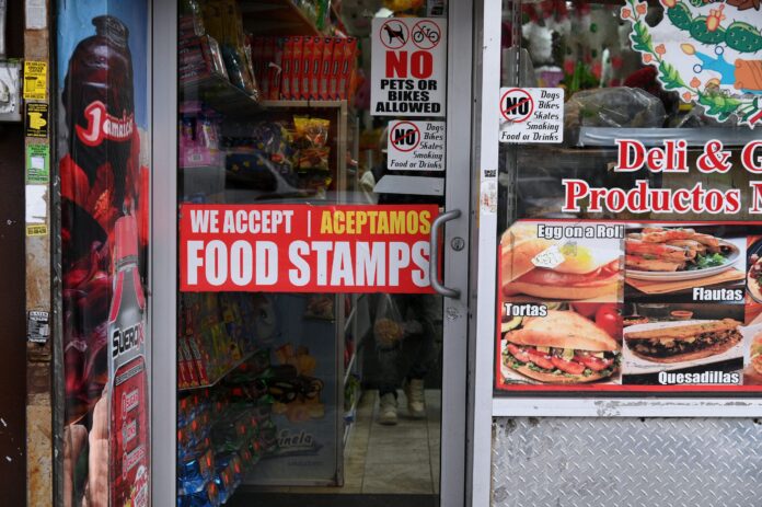 Experts warn use of AI to vet Michigan SNAP applications can lead to false fraud claims