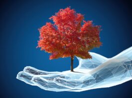 Prosperity's Path: OpenAI has shown it cannot be trusted. Canada needs nationalized, public AI