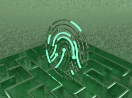 Human Capital Is Your Competitive Moat in the A.I. Agent Age