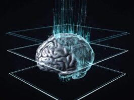 AI tools can erode critical thinking, experts warn