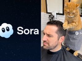 OpenAI Sora Shutting Down