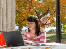 Updated AI Literacy Foundations course now open to students, faculty, staff | CU Boulder Today