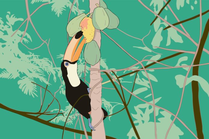 How to build an AI-powered private document search app with RAG, ChromaDB, and memory