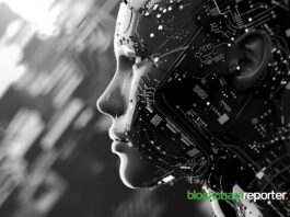 NanoVita and TermiX Collaborate to Design the “Settlement Layer” for the Next Generation of AI Agent Economy image