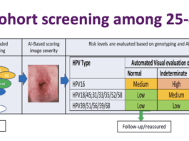 Vaccination progress, HPV testing and the promise of AI-assisted triage tools for screening
