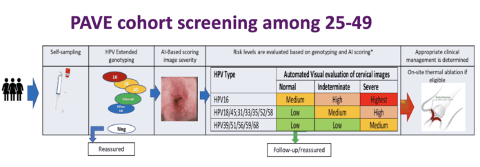 Vaccination progress, HPV testing and the promise of AI-assisted triage tools for screening