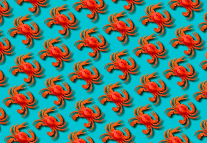 Red toy crab on blue background