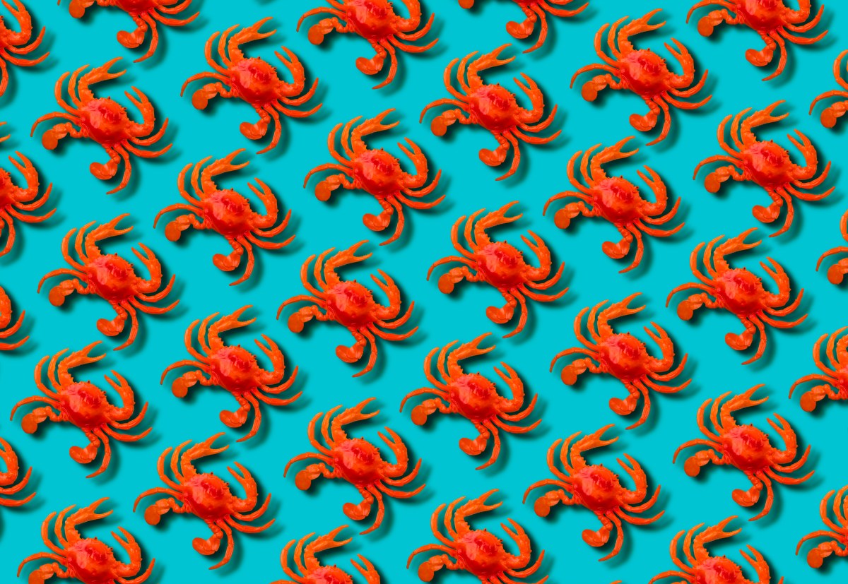 GettyImages-1485567434.jpg Red toy crab on blue background