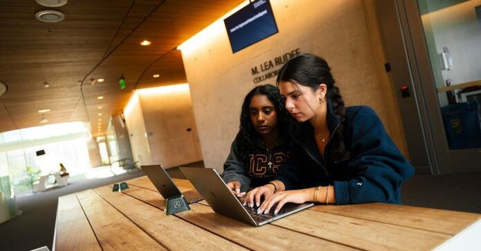 What Does It Mean To Learn With AI?