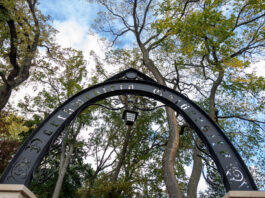 Northwestern Network for Collaborative Intelligence announces strategic leaders