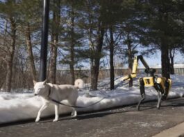 Watch as Boston Dynamics’ Spot Robot Completes a To-Do List with Google Gemini AI in an Impressive Home Demo—Including Dog Walking! Boston Dynamics Spot Robot Masters To-Do List with Google Gemini