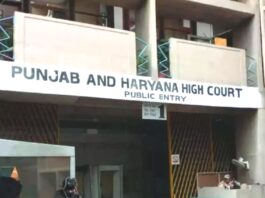 Punjab and Haryana High Court Prohibits Use of AI Tools Such as ChatGPT for Legal Decisions and Research The Pioneer